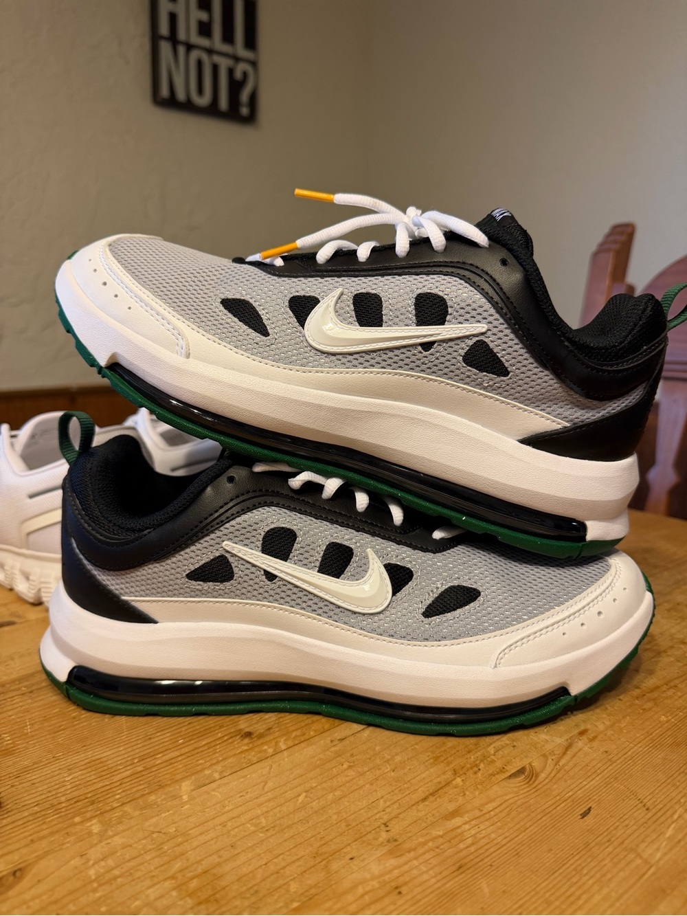 Nike Air Max AP